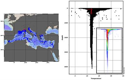 SalaciaML: A Deep Learning Approach for Supporting Ocean Data Quality Control